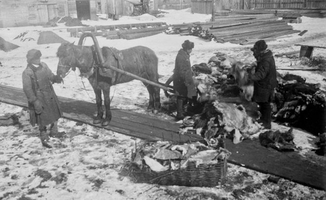 Фотомарафон «100-летие ТАССР»: выгрузка шкур на меховой фабрике в Казани, 1929 год