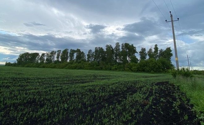 Как земли «Татнефти» стали яблоком раздора для фермера и Минлесхоза из-за кадастрового хаоса