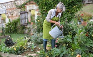 «Не вполне справедливо» — почему в Союзе садоводов не рады налоговым льготам дачников