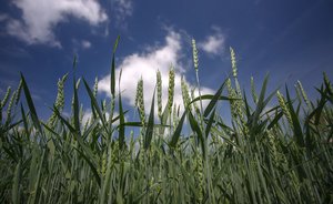 Скандальный фермер из Пестрецов пожаловался на «рейдерский захват» сельхозугодий