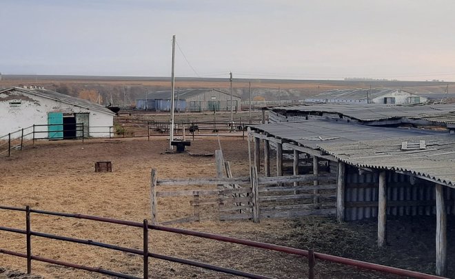 «Увезли последних коров»: из-за закрытия ферм под Новошешминском около ста сельчан остались без работы