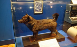 День в истории: подарок из космоса приземлился в Заинске