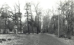 Фотомарафон «100-летие ТАССР»: городской парк Чистополя, 1975 год