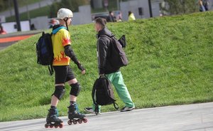 Дирекция парков и скверов раскрыла доходы от своей деятельности — 56,5 млн рублей