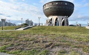 Как недопонимание главных озеленителей погубило газон у «Чаши»