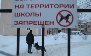 «Выгуливать собаку на детской площадке — это из ряда вон»