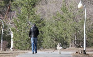 Видеоопрос: «Хотите ли вы снова уйти на самоизоляцию?»