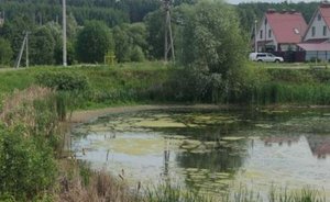 «Народный контроль»: осушение озера, потоп в Мирном и «секретная» стройка у аквапарка