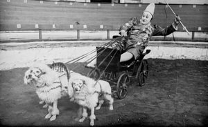 Фотомарафон «100-летие ТАССР»: клоун в возке, запряженном собаками, 1926 год