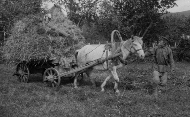 Фотомарафон «100-летие ТАССР»: погрузка урожая, 1927 год
