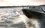 Трагедия на Камском море: рулевой катера Grizzly осужден за наезд на отдыхающего