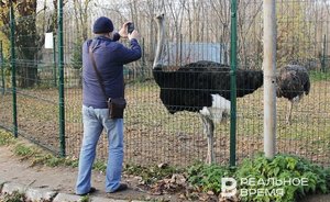 День в истории: Ясная Поляна, публичный зоопарк и советский исполком