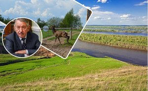 Талгат Абдуллин: «Когда мы купили землю, леса там не числились»