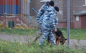 По следам перестрелки в Адмиралтейке: полиция ищет улики с металлоискателем и собакой