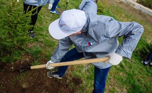 «Унистрой» предложил соседям «АртСити» шумозащитный экран вместо озеленения