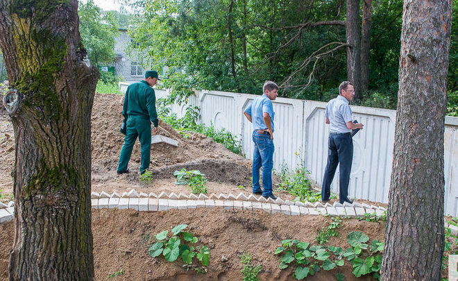 Не дать дуба: жители Дербышек пожаловались в «Народный фронт» на очередную вырубку деревьев под парковку