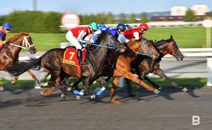 Татарстанскую арену скачек доверили главе казанского конезавода