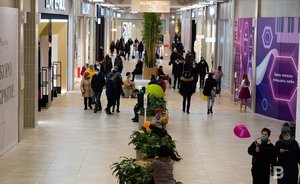 Елена Стрюкова: «Финансовые результаты татарстанских ТЦ будут на 25—30% ниже ожидаемых»