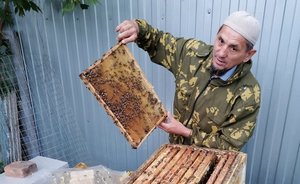 «При нас агроном разводил пестициды в канистрах на глаз и без защиты. Все делается на авось»