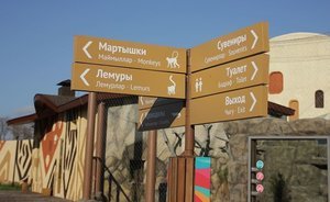 Куда пойти в Казани: «зеленое дерби», «Татар җыры» и долгожданное открытие зоопарка