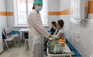 В Татарстане ждут возвращения свиного гриппа