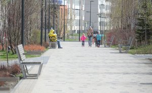 Три года Дирекции парков и скверов: 1 500 мероприятий, 7 млн заработка в 2019-м и планы на коронавирусный год