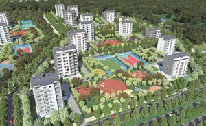 Жилье мечты, или Набор проблем, кто — кого: пешеходы и водители, «Алабуга старт» для девушек