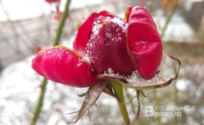 Репетиция зимы: на Татарстан движутся метель и мощный снегопад