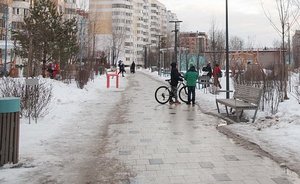 «Эта зима не аномально, а экстремально теплая»