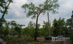 Эхо урагана: кто ответит за гибель людей на Яльчике?
