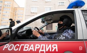 Инструкция от «Росгвардии»: как защитить свой дом от воров в новогодние праздники