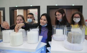 $140 триллионов — цена «зеленой сделки» для мировой экономики, а что ждет Россию?