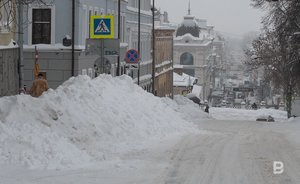 «Аномальная» зима поможет будущему урожаю в Татарстане