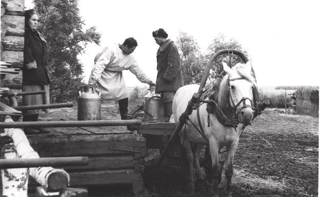 Фотомарафон «100-летие ТАССР»: сбор молока на переработку в селе Танайка, первая половина 1950-х