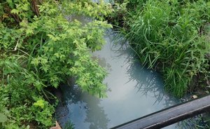 «Народный контроль»: темный поселок, клещи в парке жилкомплекса и слив отходов в реку