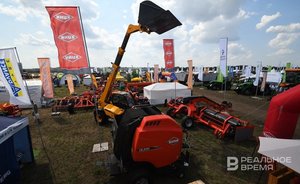 «Семян, техники и кадров нет» — в Казани обсудили проблемы льноводства и коноплеводства