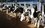 «Инстаграм» глав районов Татарстана: вечерняя дойка коров, фазаны Гафарова и горчица Козлова