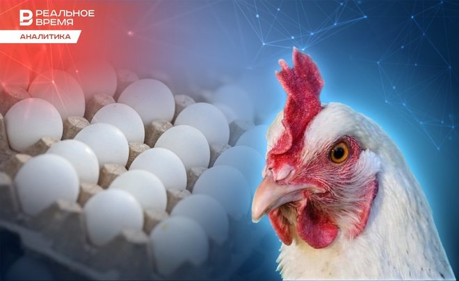 Яйца выеденного стоит: Татарстан хочет в топ-3 России по производству куриных яиц