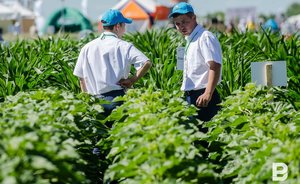 Как РАЦИН пытался взыскать с чистопольских аграриев 7 млн рублей за «мертвый фрахт»