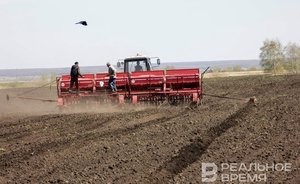 Посевная с опережением в три недели