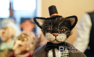 Почему татары не пускали домой котов?