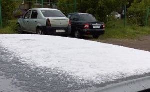 Не май месяц: в Казани встретили летний снег, спасают мартышек и марабу и горюют об урожае