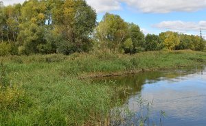 Строительство Вознесенского тракта поставило под угрозу озеро в Богородском