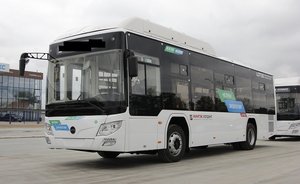 Зеленодольские перевозчики поставили «ультиматум» льготникам