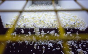 Рустам Минниханов обратил внимание Владимира Путина на проблемы отечественных экспортеров полимеров