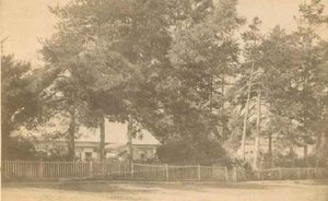 «Самые крупные пожары приходятся на неурожайные годы...»