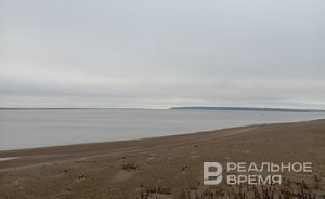 Депутаты Госдумы возложили спасение Волги на правительство