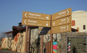 Казанский зоопарк возобновил борьбу за слонов, носорогов и пятиметровых жирафов