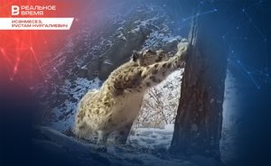 Исәнмесез, Рустам Нургалиевич: «Собираются строить крематорий! Это портит порядок и воспитание»