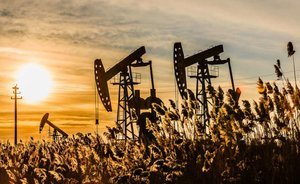 Долги башкирского бизнеса: кредитоспособные нефтяники и «просроченные» аграрии